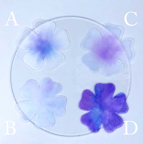 ABCD_4種の色サンプル